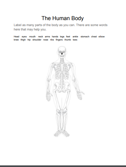 My Body Chart For Kindergarten